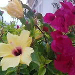Detached Ciudad Quesada, Fully Ac, Pool 別荘