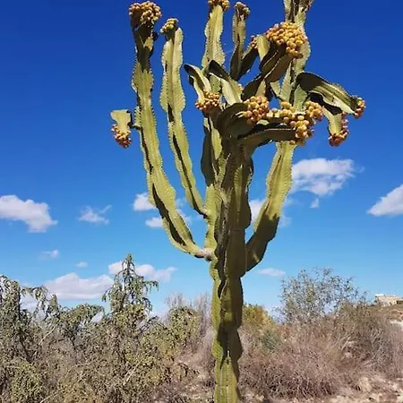 Hébergement de vacances Detached Ciudad Quesada, Fully Ac, Pool *