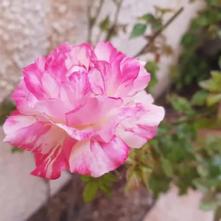 Detached Ciudad Quesada, Fully Ac, Pool סיודאד קסאדה