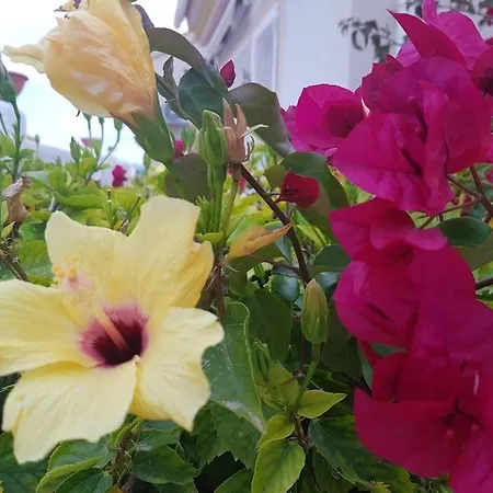 Detached Ciudad Quesada, Fully Ac, Pool Hébergement de vacances