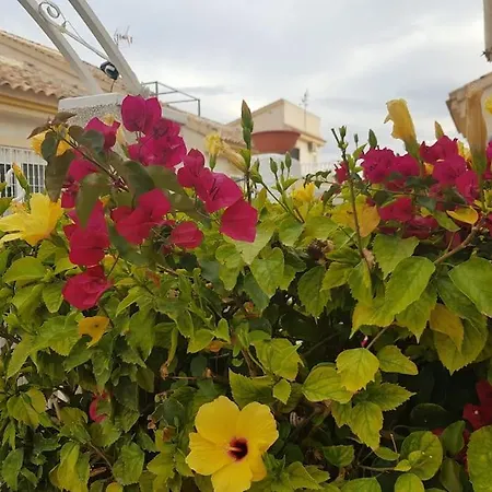 Detached Ciudad Quesada, Fully Ac, Pool Ciudad Quesada