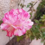 Detached Ciudad Quesada, Fully Ac, Pool Сьюдад-Кесада